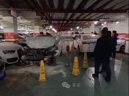 駕校教練到底有多會？哈哈哈這嘴我真的服了——長春駕校生存指南